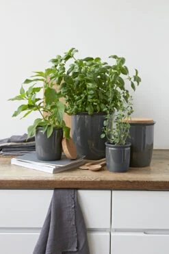 Keukengerei Verkoop Winkel -Keukengerei Verkoop Winkel 506882 01 2 EnvironmentImage 40436d171b