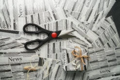 Zwilling Twin Universele Schaar -Keukengerei Verkoop Winkel 509108 01 30 EnvironmentImage be6bf3b28c